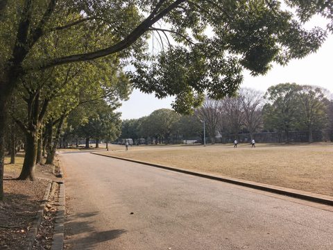 2019-03-07 S1 配圖